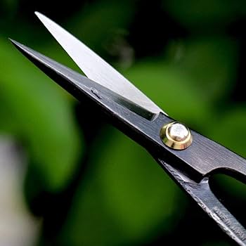 はるか【個握シリアル】 Amazon.com: Wazakura Japanese Bonsai Tool Kit Made in Japan